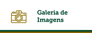 galeria-de-imagens.